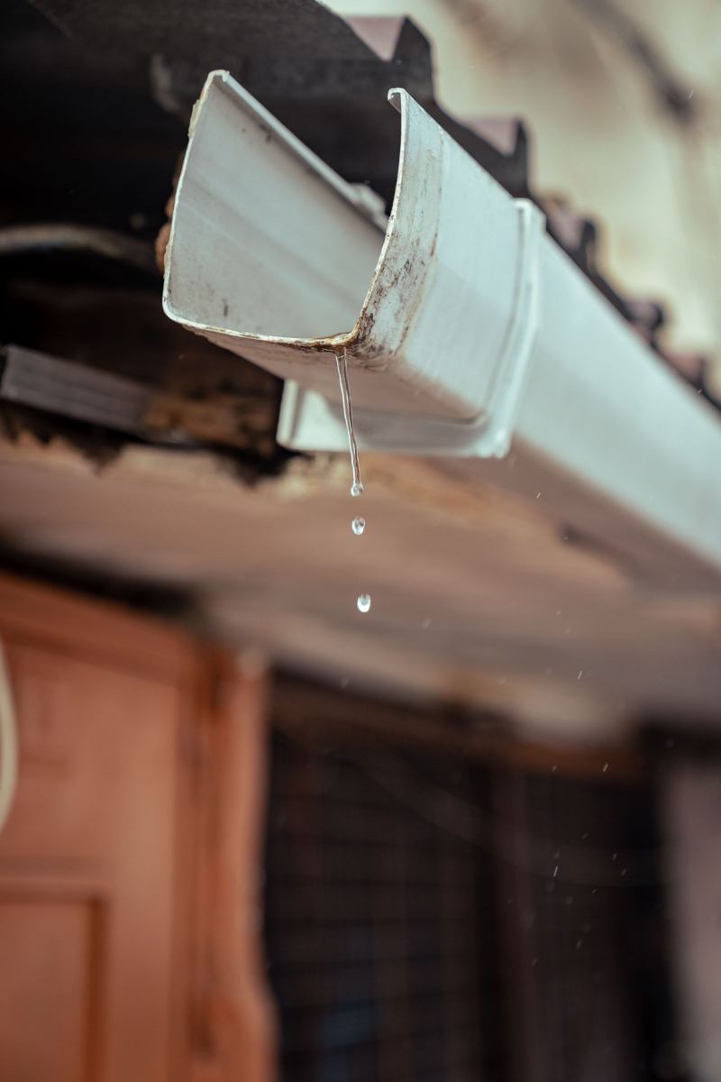 Rainwater dripping from the open end of a metal gutter downspout beside a house wall, the runoff that ends up against a foundation when it isn't directed away
